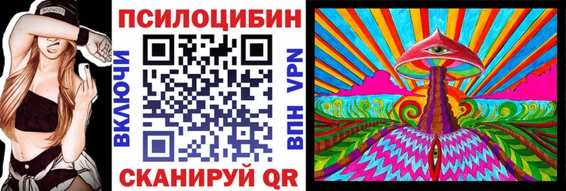 купить наркотики цена  Орёл  Псилоцибиновые грибы Cubensis 